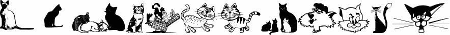 cats_csp