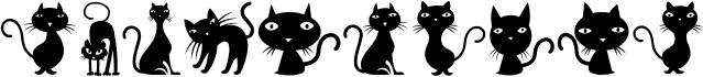 Cats Regular