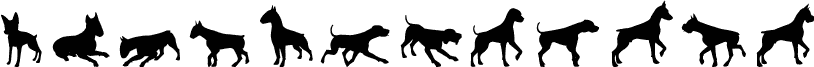 Cats vs Dogs LT