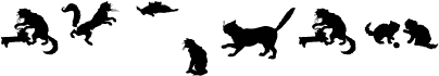 CatsCo