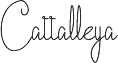 Cattalleya Demo