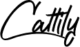 Cattily Demo