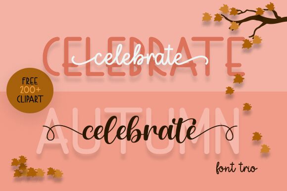 Celebrate Fonte