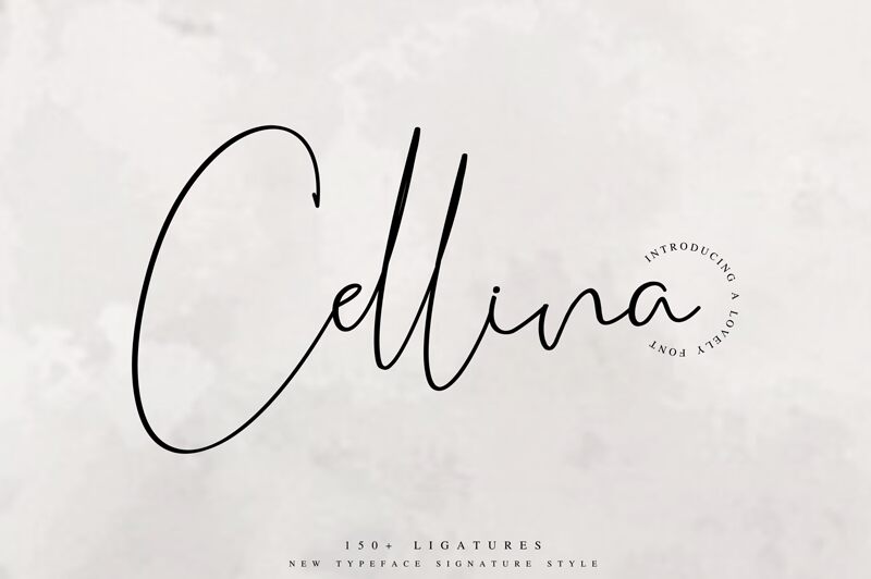 Cellina Font