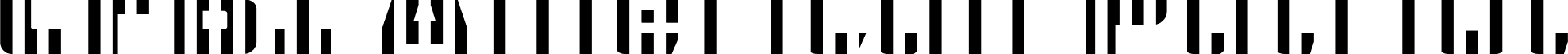 CFB1 American Patriot SOLID 2 Bold Italic