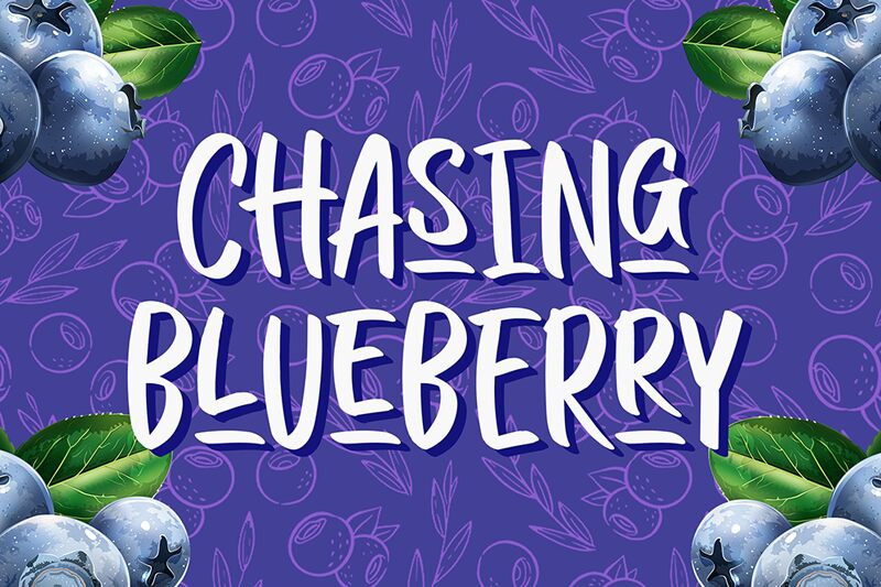 CHASING BLUEBERRY Carattere