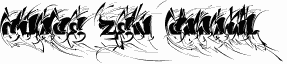 CHASE ZEN SPRAWL