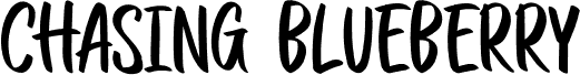 CHASINGBLUEBERRYRegular