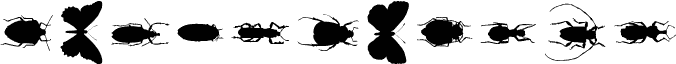 ChileanBugs