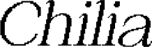 Chilia Pixel Demo Regular