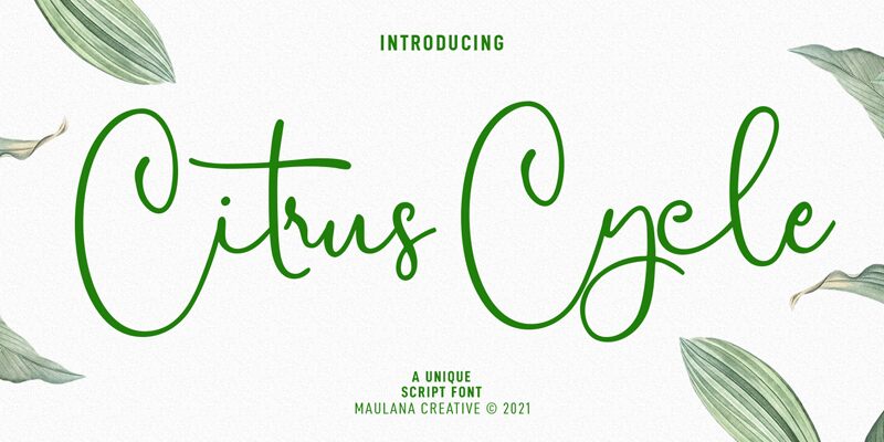 Citrus Cycle Czcionka