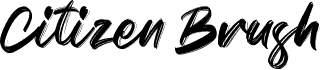 Citizen Brush