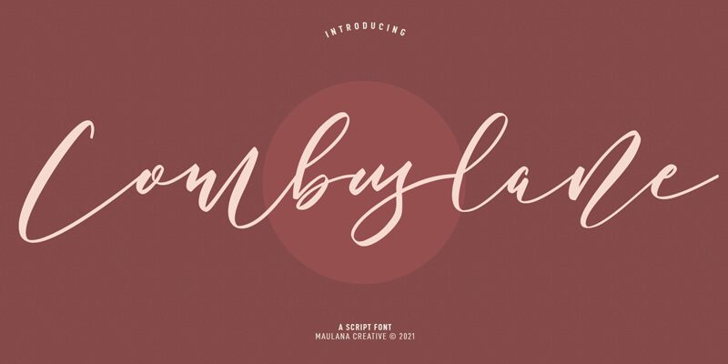 Combuslane Druh písma