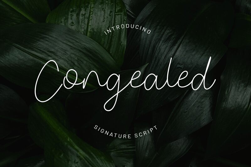 Congealed Signature Czcionka