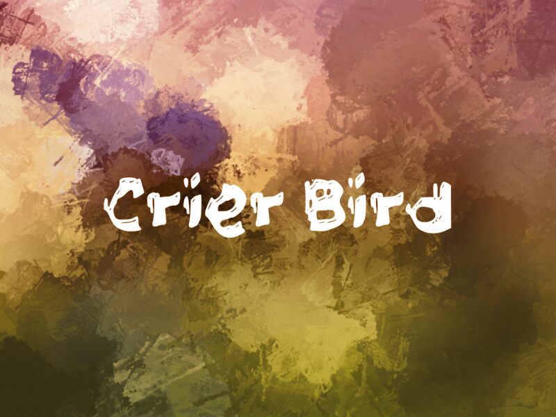 c Crier Bird Czcionka
