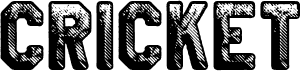 CRICKET PERSONAL USE Bold