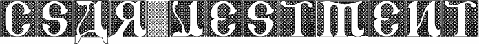 CSAR VESTMENT