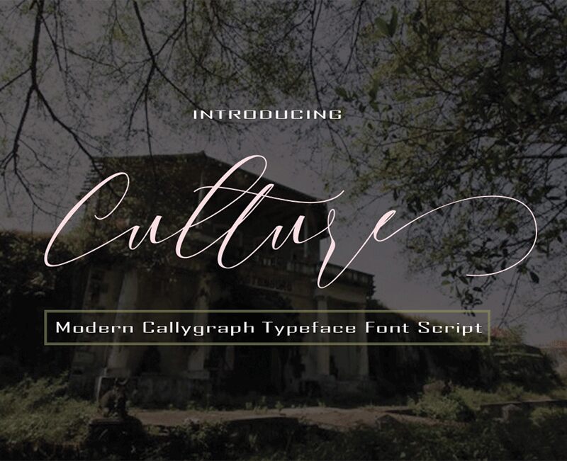 Culture Druh písma