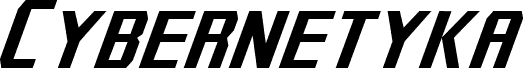 Cybernetyka Italic
