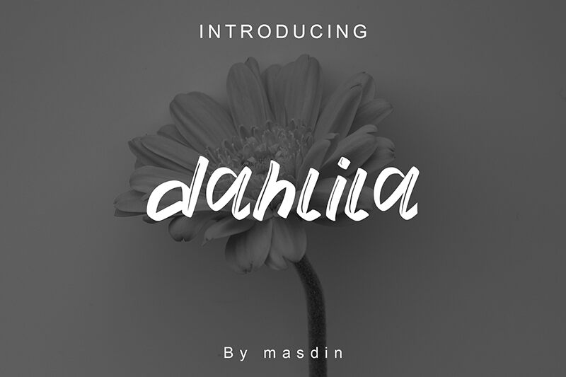 Dahlila Czcionka