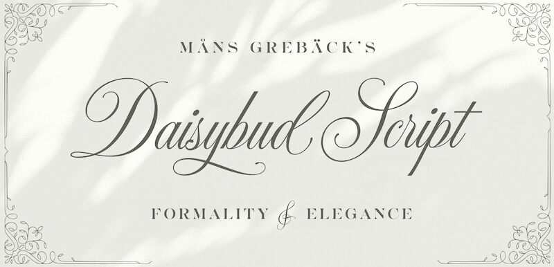 Daisybud Script Font