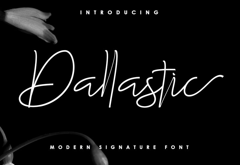 Dallastic Fuente