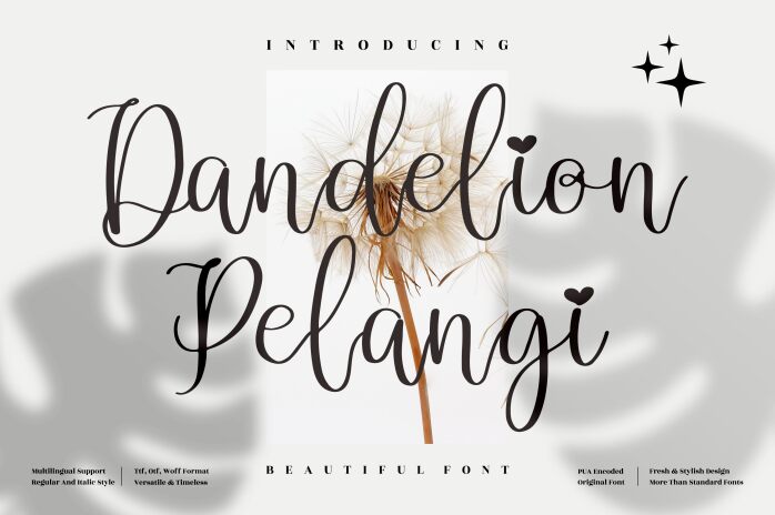 Dandelion Pelangi Czcionka