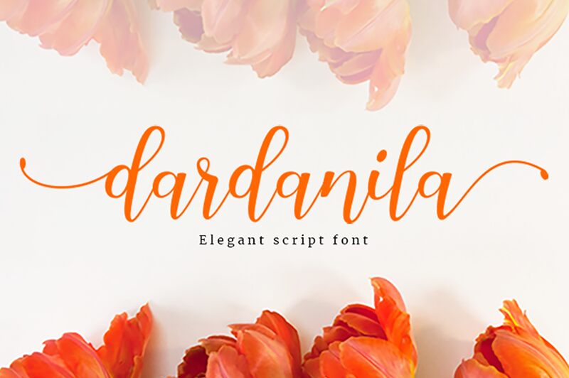 Dardanila Schriftart