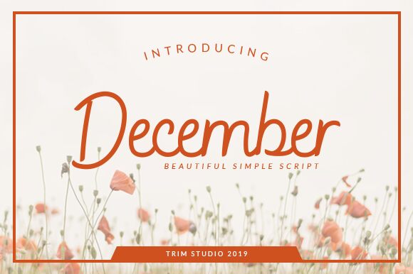December 字体