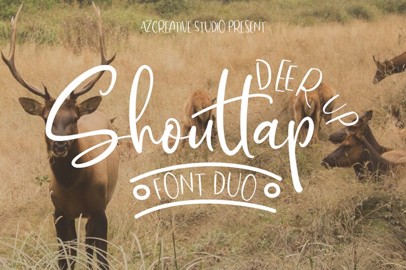 DeerUp Shouttap フォント