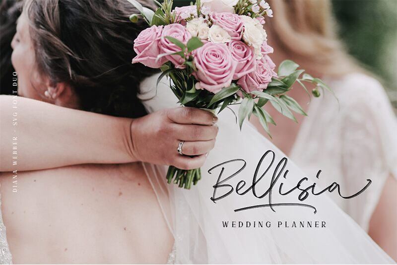 DianaWebber Script Carattere