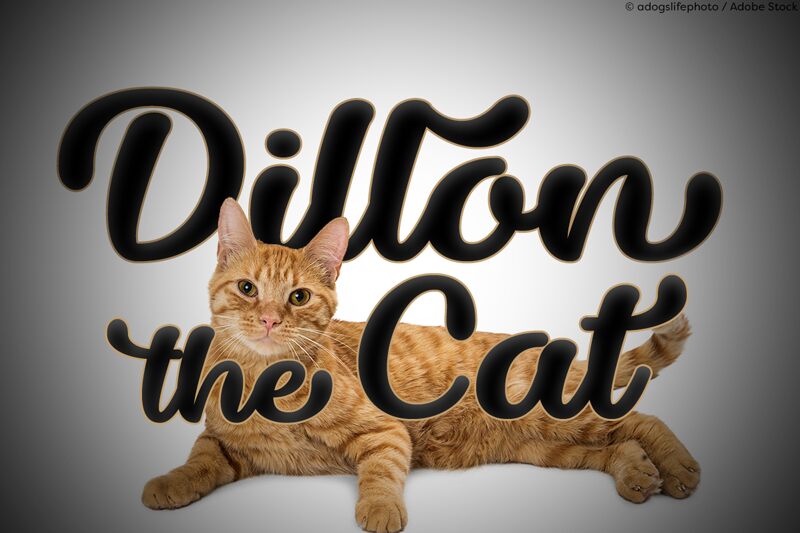 Dillon the Cat Schriftart