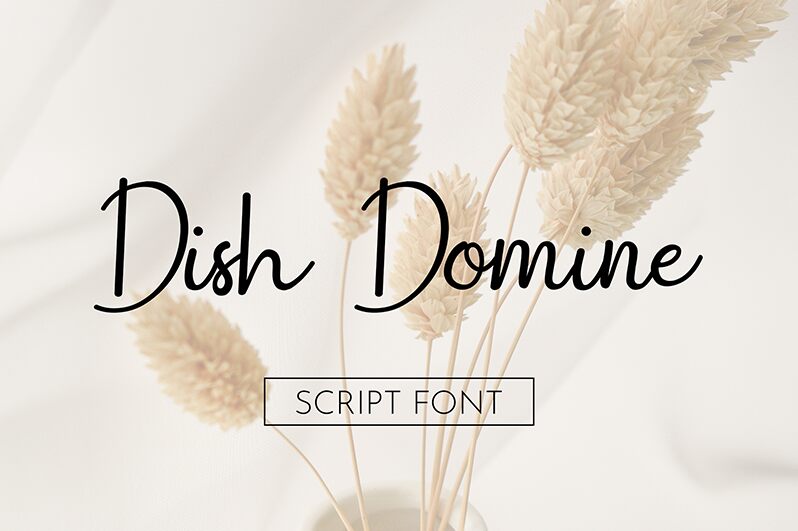 Dish Domine Fonte