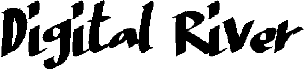 DigitalRiver