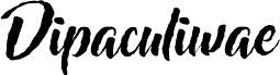 Dipaculiwae Regular