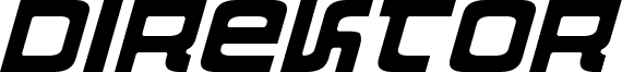 Direktor Light Italic