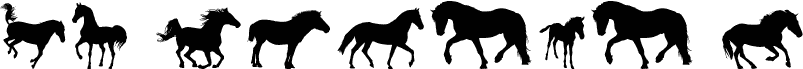 DJ Horses 1