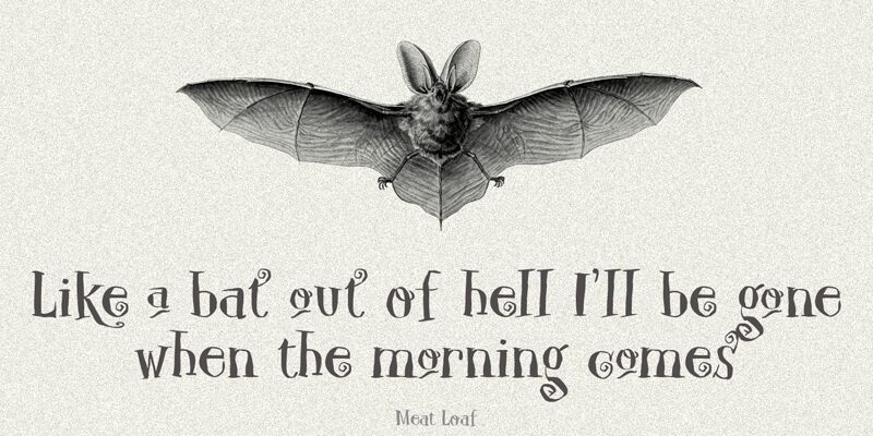 DK Carpe Noctem Czcionka