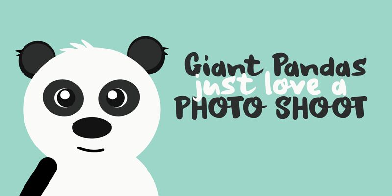 DK Struffoli Carattere