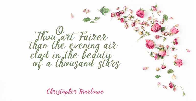 DK Tompouce Carattere