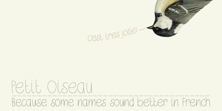 DK Petit Oiseau Schriftart