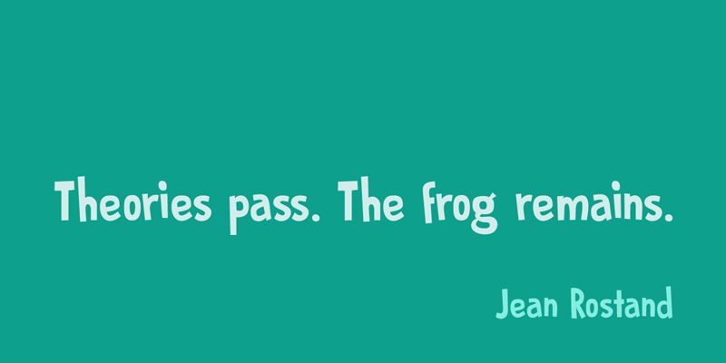 DK Prince Frog Schriftart