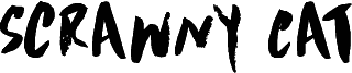 DKScrawnyCat