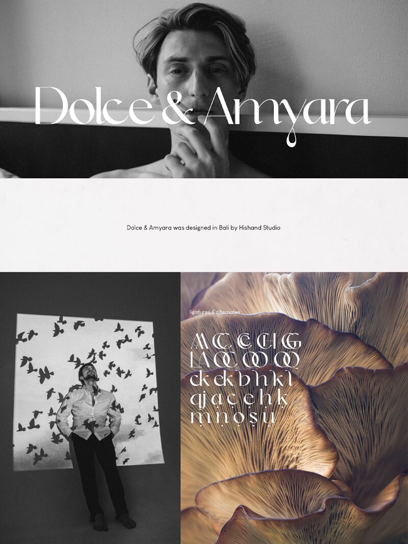 Dolce & Amyara Czcionka