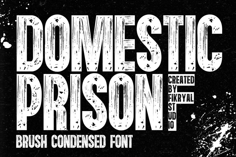 Domestic Prison Carattere