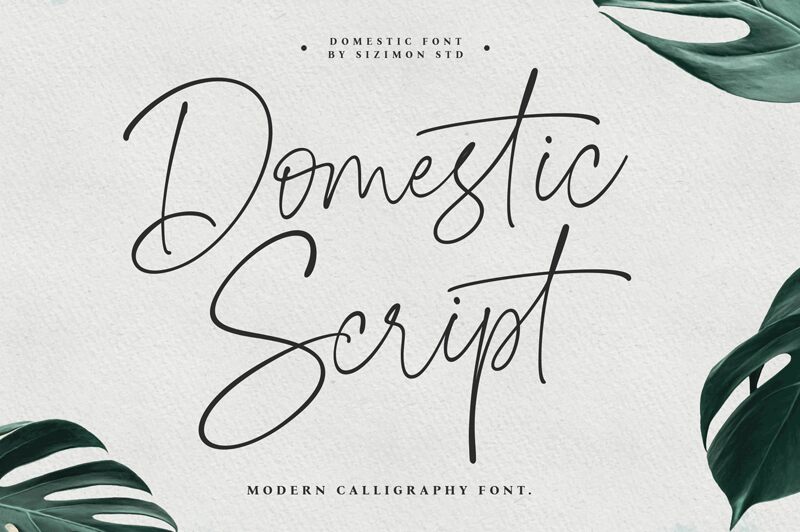 Domestic Script Czcionka
