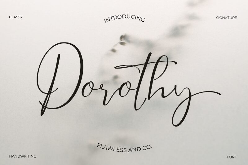 Dorothy Druh písma