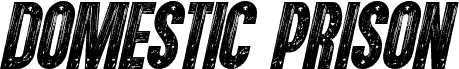 Domestic Prison Italic