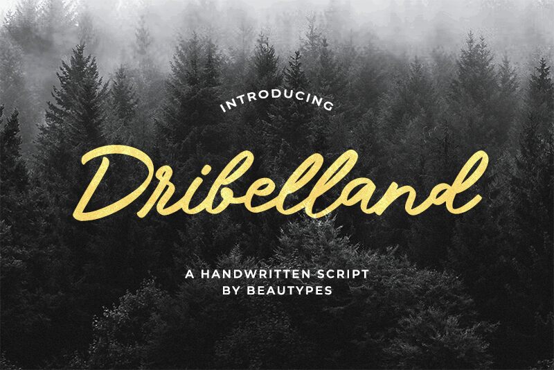 Dribelland Fuente