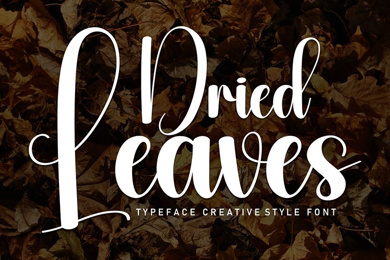 Dried Leaves Schriftart